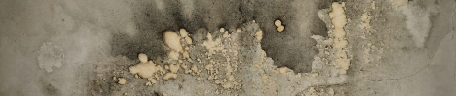 Indianapolis Concrete Repair 317-549-1833